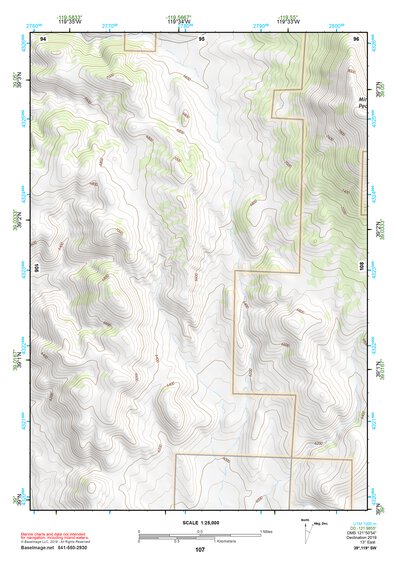 39119SW Page 107 Carson City Topo Preview 1