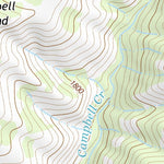 39121NW Page 5 Chico Topo Preview 2