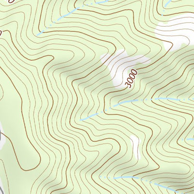 39121NW Page 8 Chico Topo Preview 2