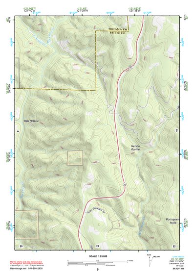 39121NW Page 9 Chico Topo Preview 1