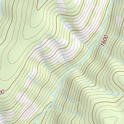 39121NW Page 31 Chico Topo Preview 3