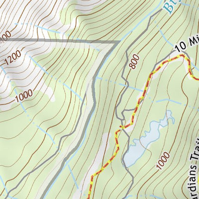 39121NW Page 43 Chico Topo Preview 2