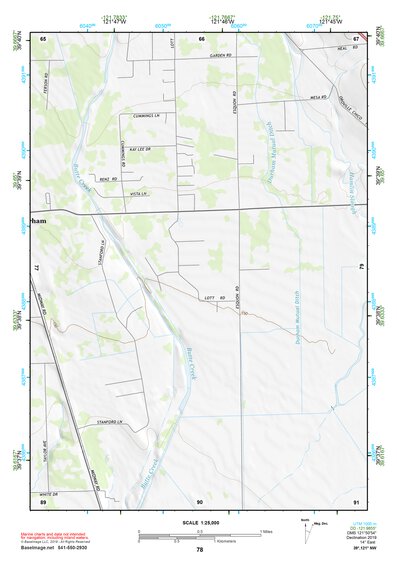 39121NW Page 78 Chico Topo Preview 1