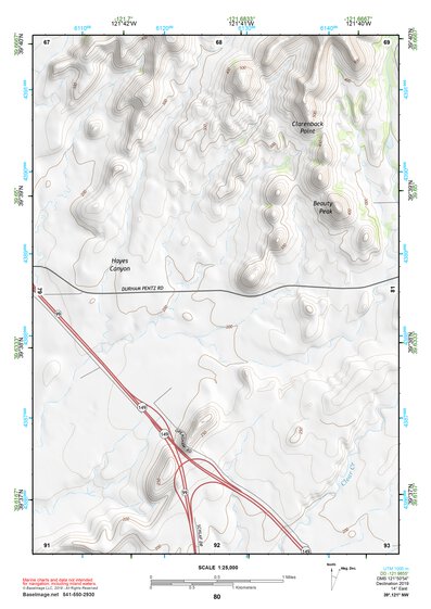 39121NW Page 80 Chico Topo Preview 1