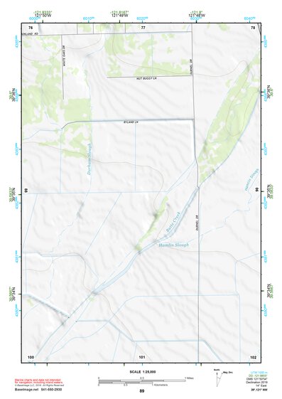 39121NW Page 89 Chico Topo Preview 1