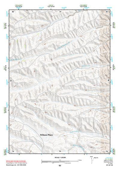 39122NE Page 63 Willows Topo Preview 1