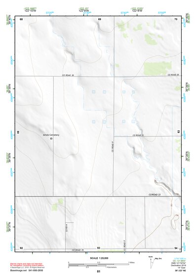 39122NE Page 81 Willows Topo Preview 1