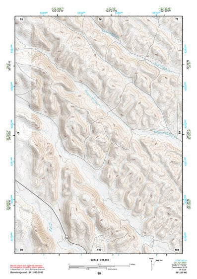 39122NE Page 88 Willows Topo Preview 1
