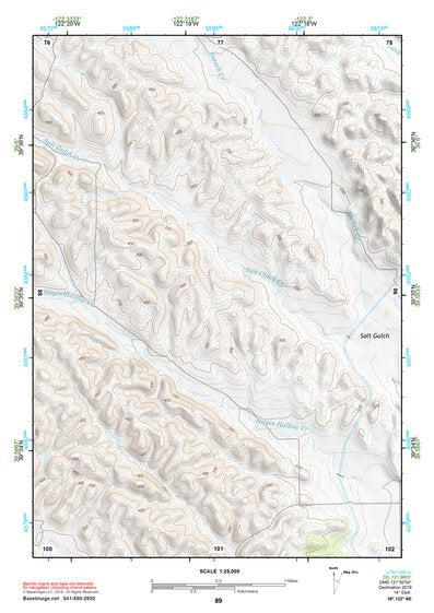 39122NE Page 89 Willows Topo Preview 1