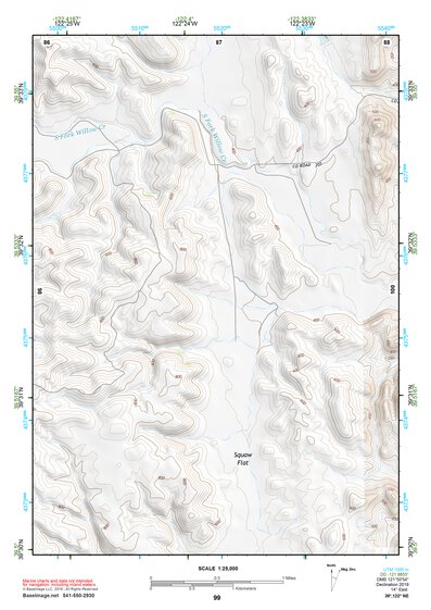39122NE Page 99 Willows Topo Preview 1