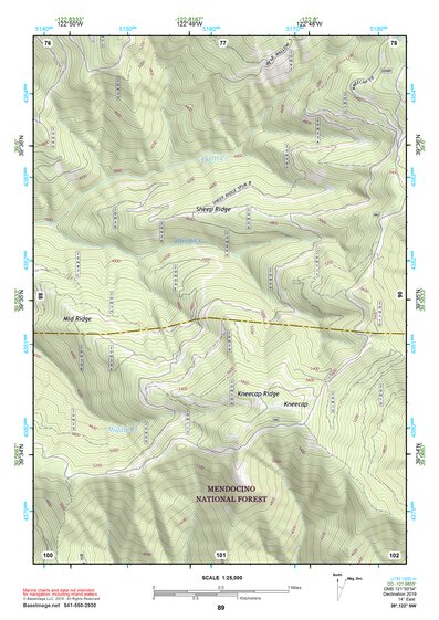 39122NW Page 89 Willows Topo Preview 1