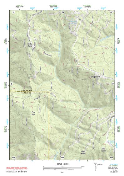39122NW Page 91 Willows Topo Preview 1