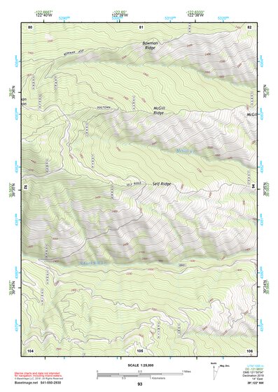 39122NW Page 93 Willows Topo Preview 1