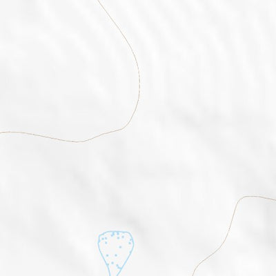 40102NE Page 34 Julesburg Topo Preview 2