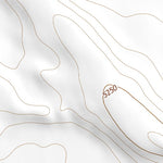 40104NE Page 9 Eaton Topo Preview 3