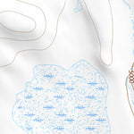 40104NE Page 41 Eaton Topo Preview 3