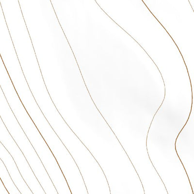40104NE Page 69 Eaton Topo Preview 2