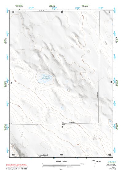 40104NE Page 93 Eaton Topo Preview 1