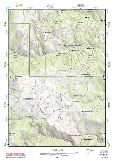 40105SE Page 99 Estes Park Topo Preview 1