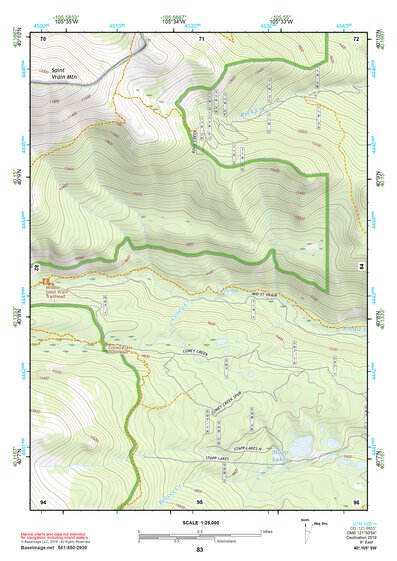 40105SW Page 83 Estes Park Topo Preview 1