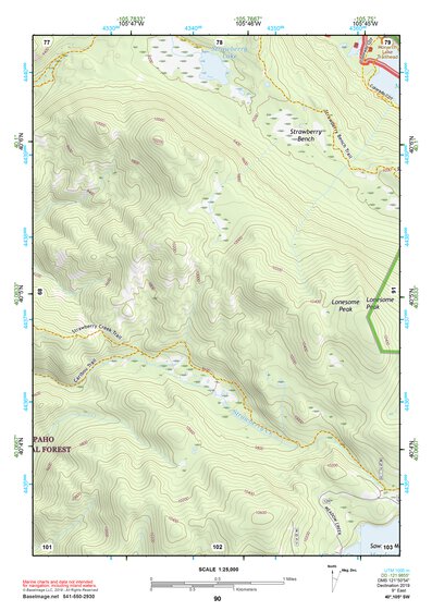 40105SW Page 90 Estes Park Topo Preview 1