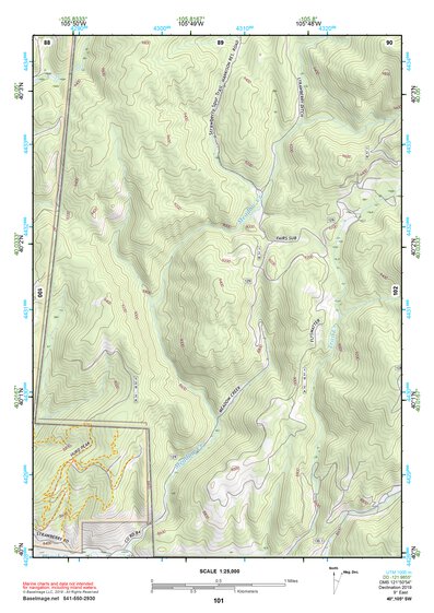 40105SW Page 101 Estes Park Topo Preview 1
