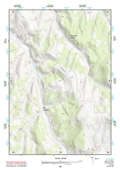 40108SW Page 93 Rangely Topo Preview 1