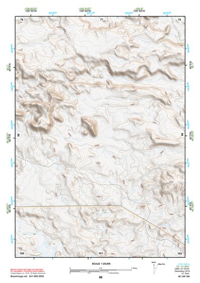 40109SW Page 89 Vernal Topo Preview 1