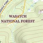 40110NE Page 20 Kings Peak Topo Preview 2