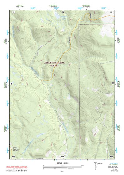 40110NE Page 91 Kings Peak Topo Preview 1