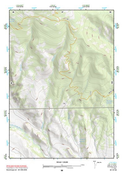 40110NE Page 99 Kings Peak Topo Preview 1