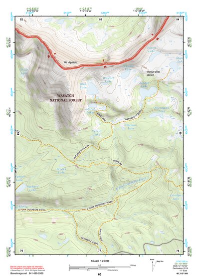 40110NW Page 65 Kings Peak Topo Preview 1