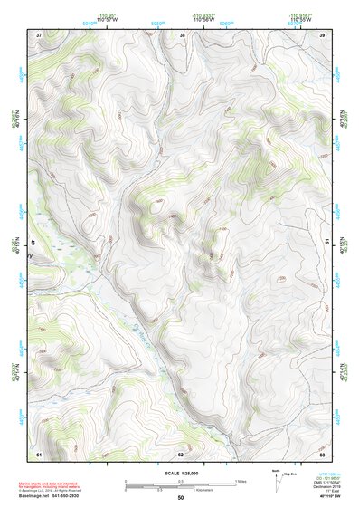 40110SW Page 50 Duchesne Topo Preview 1