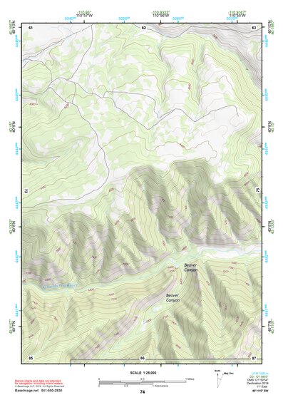 40110SW Page 74 Duchesne Topo Preview 1