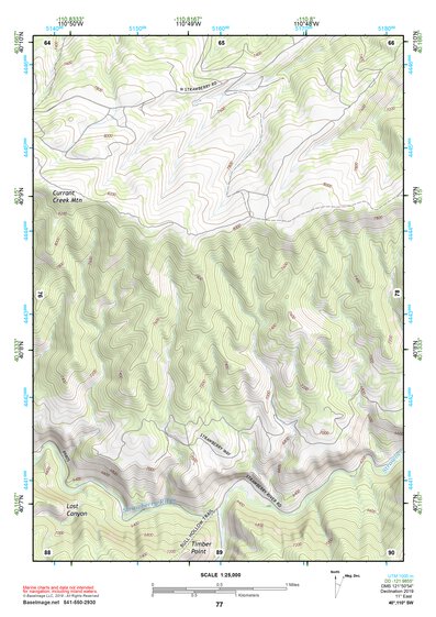 40110SW Page 77 Duchesne Topo Preview 1