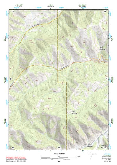 40110SW Page 87 Duchesne Topo Preview 1