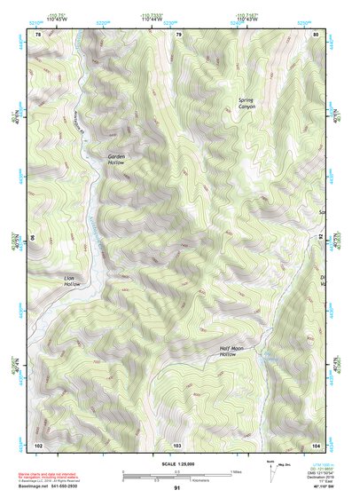 40110SW Page 91 Duchesne Topo Preview 1