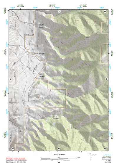 40112NE Page 79 Tooele Topo Preview 1