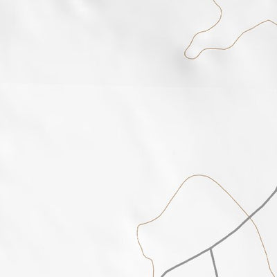 40112SW Page 49 Rush Valley Topo Preview 2