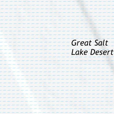 40113NE Page 40 Bonneville Salt Flats Topo Preview 3