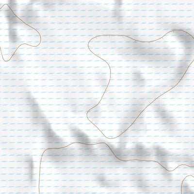 40113NE Page 42 Bonneville Salt Flats Topo Preview 3