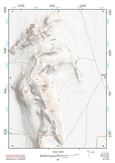 40113NE Page 45 Bonneville Salt Flats Topo Preview 1