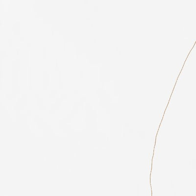 40113NE Page 46 Bonneville Salt Flats Topo Preview 2