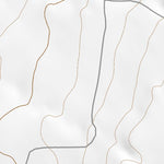 40113NE Page 47 Bonneville Salt Flats Topo Preview 2