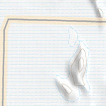 40113NE Page 66 Bonneville Salt Flats Topo Preview 2