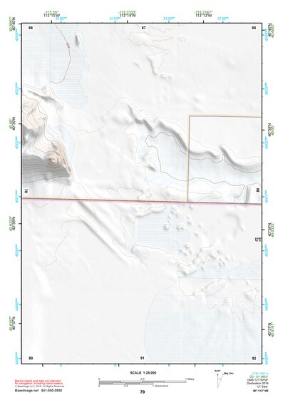 40113NE Page 79 Bonneville Salt Flats Topo Preview 1