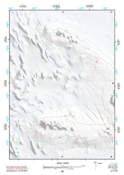 40113NE Page 85 Bonneville Salt Flats Topo Preview 1