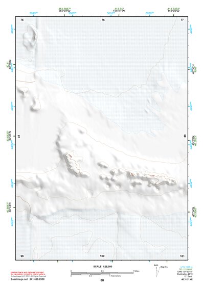 40113NE Page 88 Bonneville Salt Flats Topo Preview 1