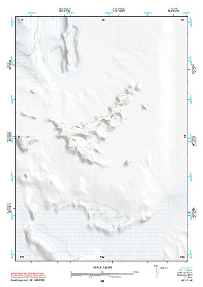 40113NE Page 90 Bonneville Salt Flats Topo Preview 1