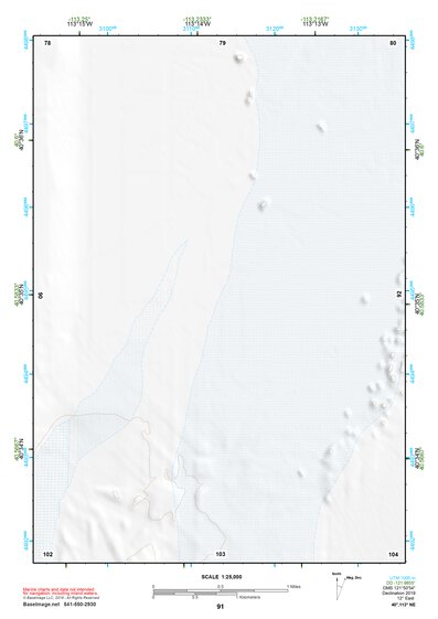 40113NE Page 91 Bonneville Salt Flats Topo Preview 1